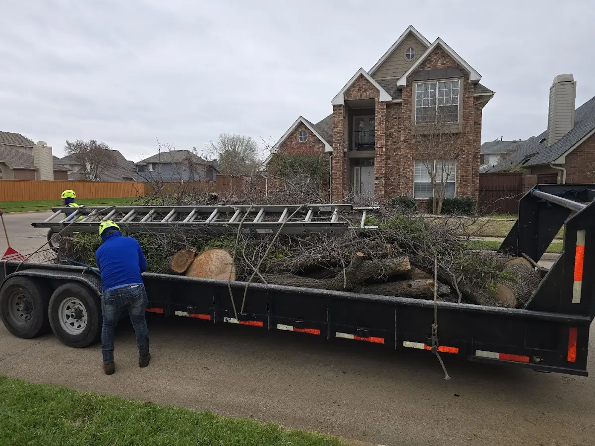 Expert Lot Clearing with proper safety equipment in Earp